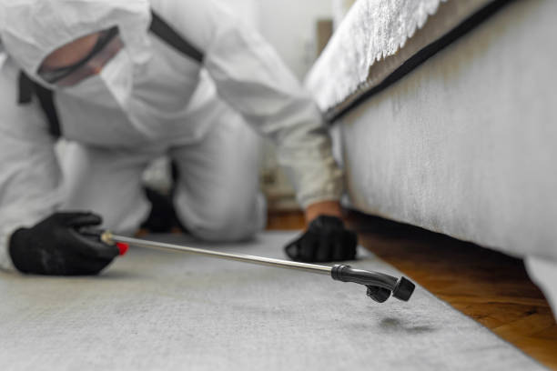Professional Pest Control technician working in Etowah, NC
