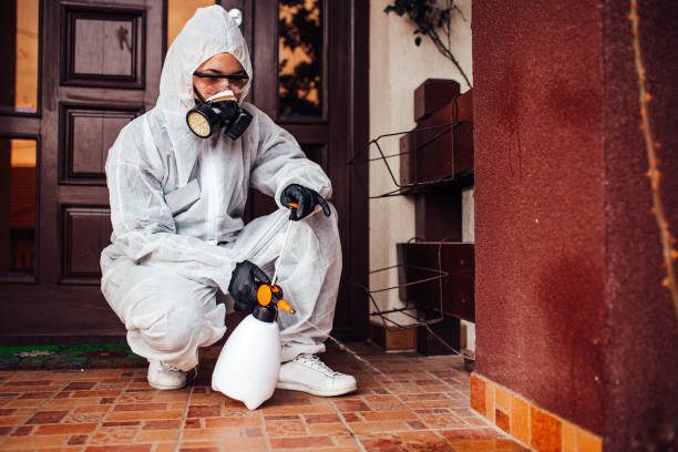 Reliable Bed Bug Control contractor in Etowah, NC by Nex Pest Control