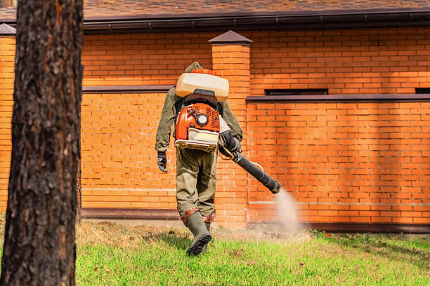 Trusted Cockroach Control service in Etowah, NC - Nex Pest Control